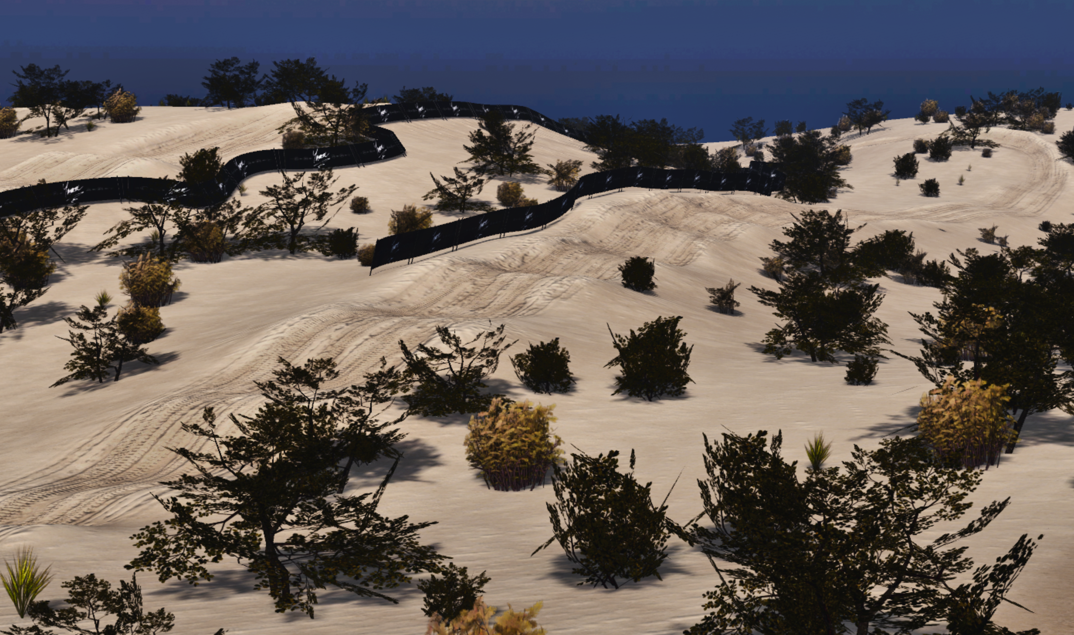 Torrey Pines