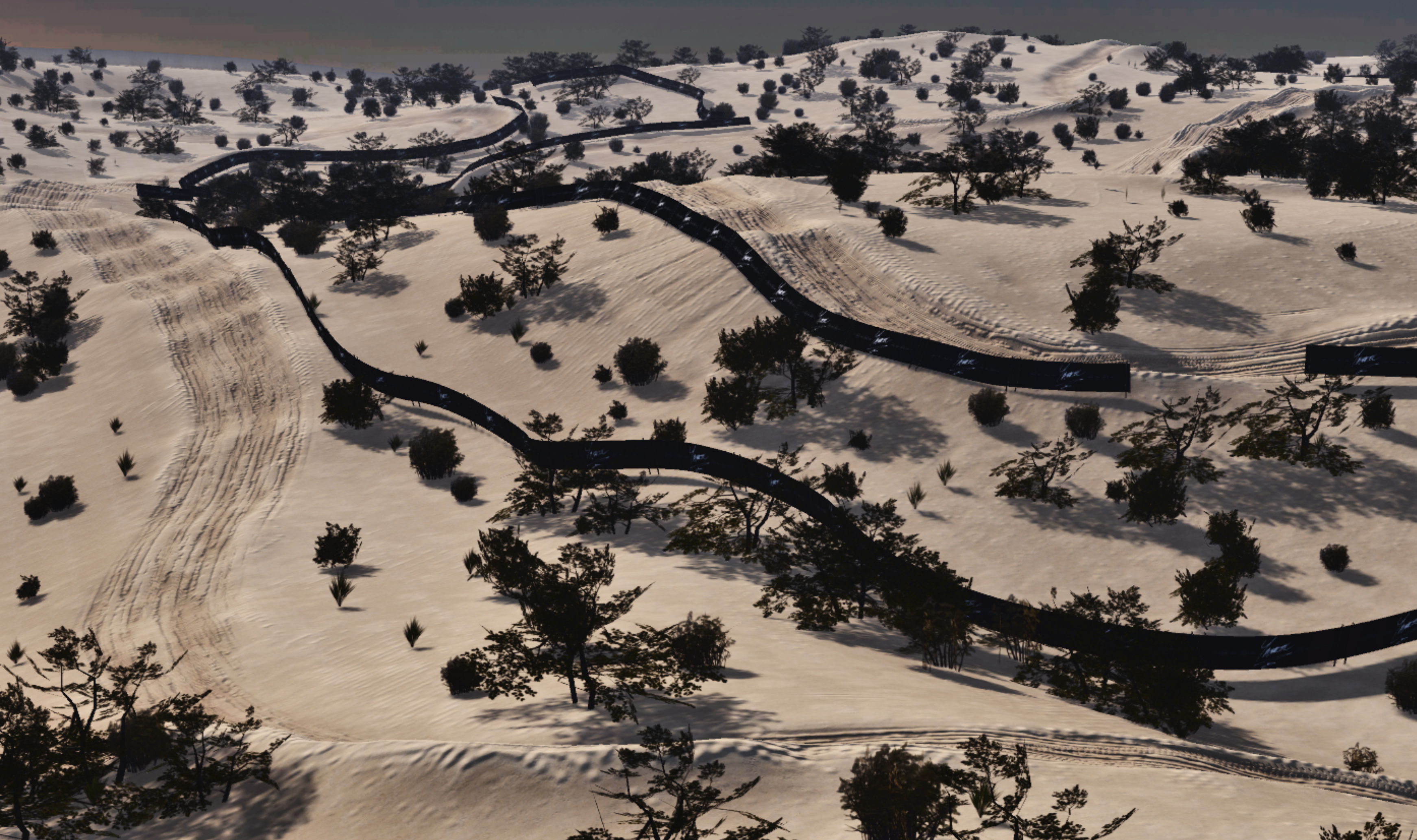Torrey Pines