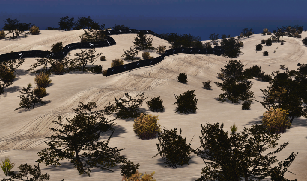 Torrey Pines