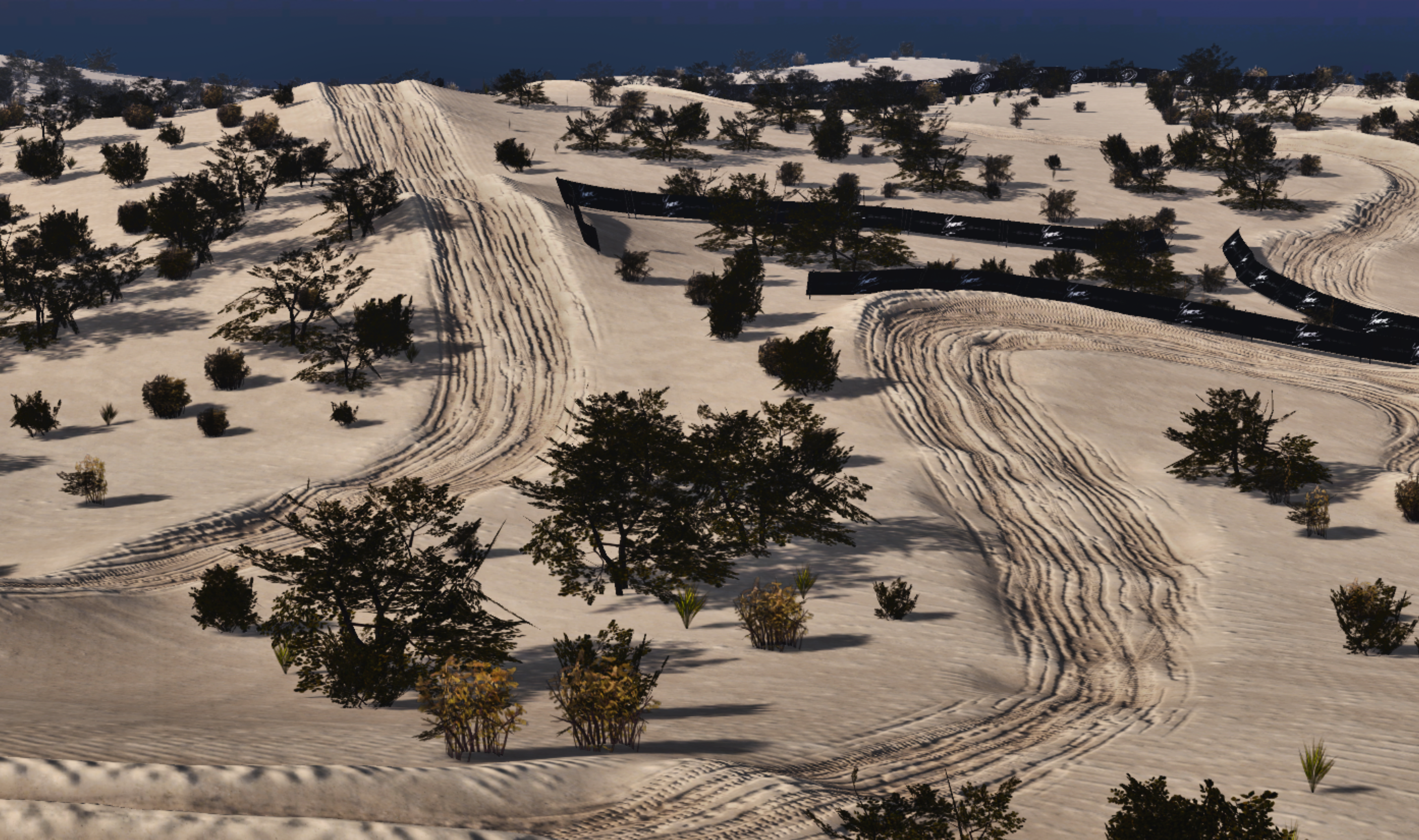 Torrey Pines